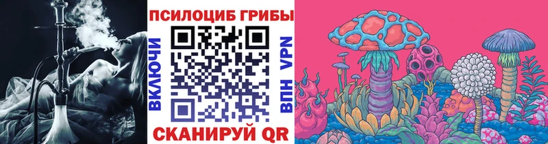 Галлюциногенные грибы MAGIC MUSHROOMS  где можно купить   Нюрба 